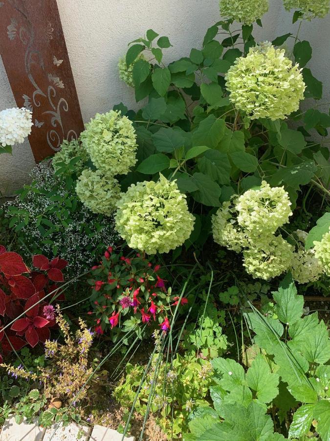 La Glycine B&B Sainte-Colombe  Buitenkant foto
